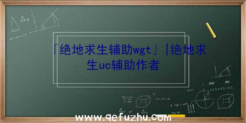 「绝地求生辅助wgt」|绝地求生uc辅助作者